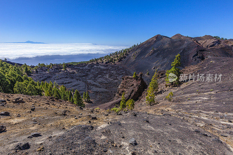 拉帕尔马的火山景观