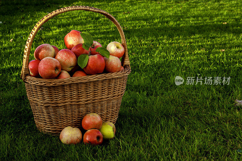 野餐篮和苹果
