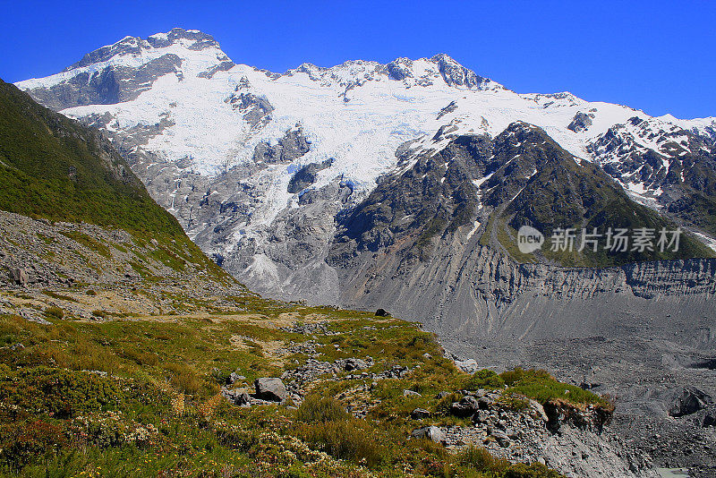 雄伟的库克山冰雪覆盖的山脉和冰川从胡克格林山谷，坎特伯雷，田园诗般的南新西兰