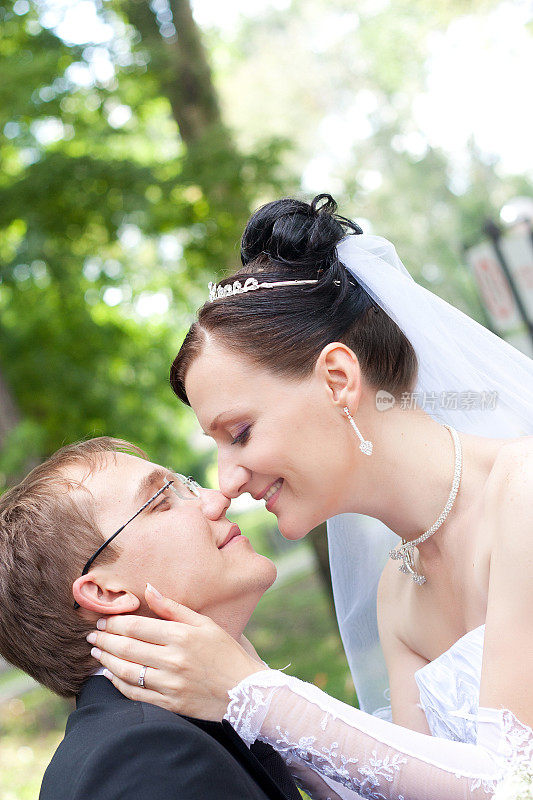 新婚夫妇拥抱和亲吻的肖像
