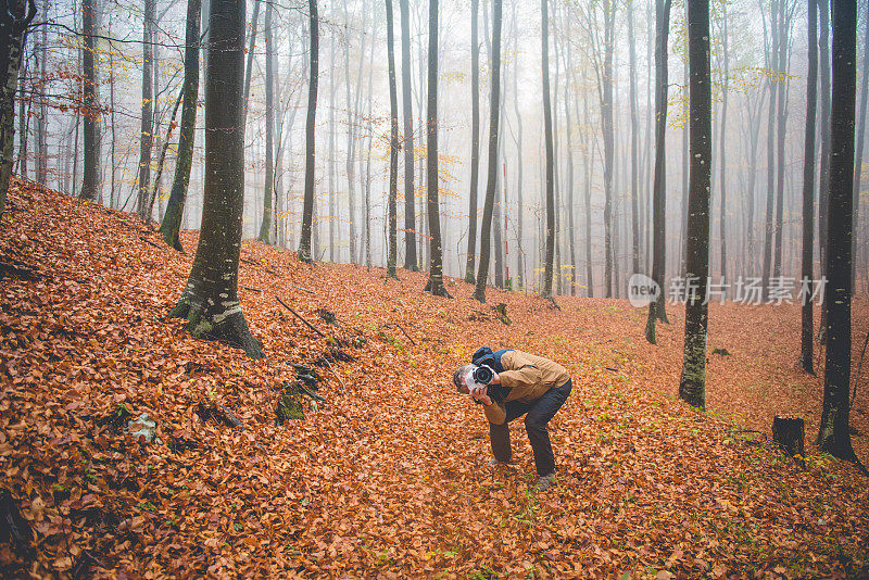 高级男子摄影在雾蒙蒙的秋天山毛榉森林，欧洲