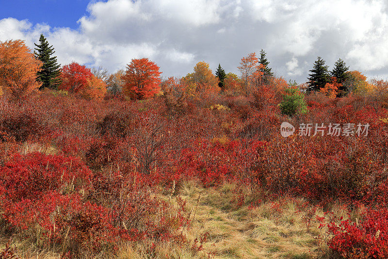 墓地，蓝岭公园路，北卡罗来纳州