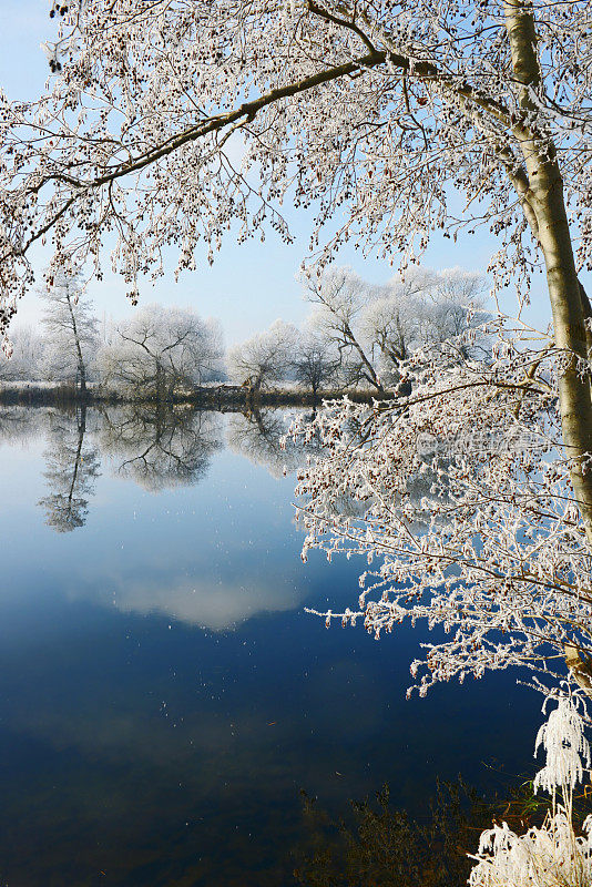 哈维尔河的霜冻景观(德国)