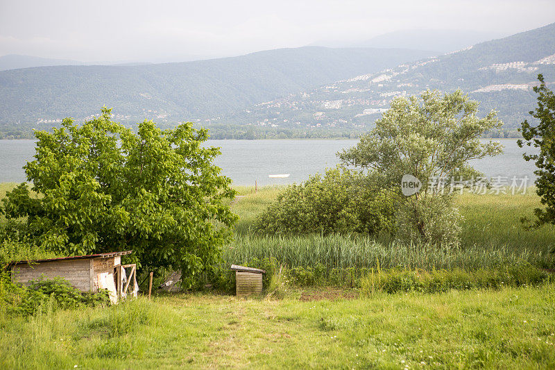 伊兹米特sakarya土耳其附近的sapanca湖旁的树木和植物