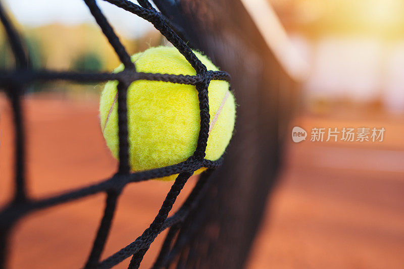 网球在网中的网球
