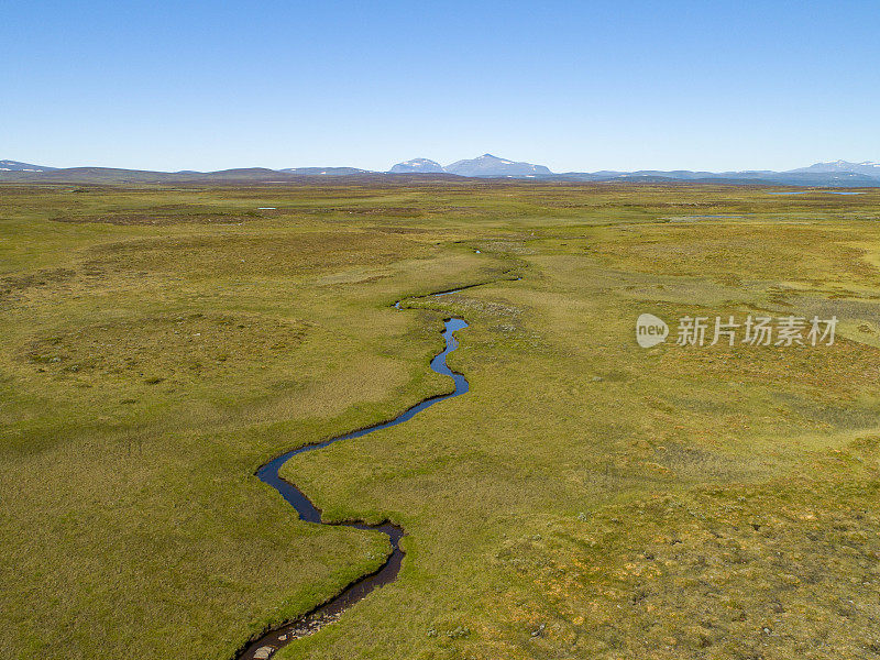 河流穿过一片绿色的草原景观