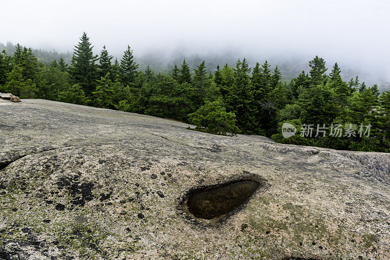 阿卡迪亚国家公园的蜂巢步道