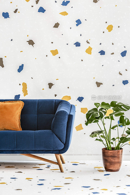 在色彩缤纷的客厅里，蓝色沙发和橙色枕头旁边种上植物，室内贴着壁纸。真实的照片