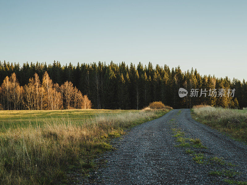 秋天阳光下的乡村景色