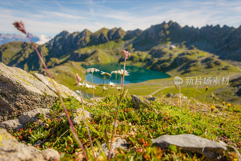 瑞士山区湖泊和草地