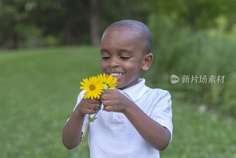 小男孩摘花