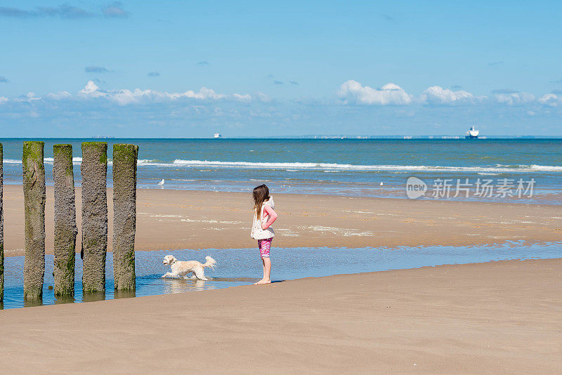 美丽的年轻女孩和她的狗在沙滩上玩耍