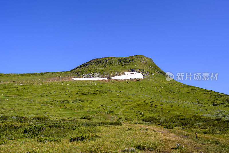 山在荒野之中，四周绿树成荫