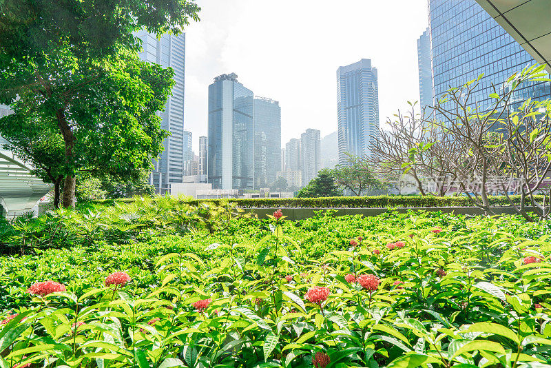 香港的绿色城市公园