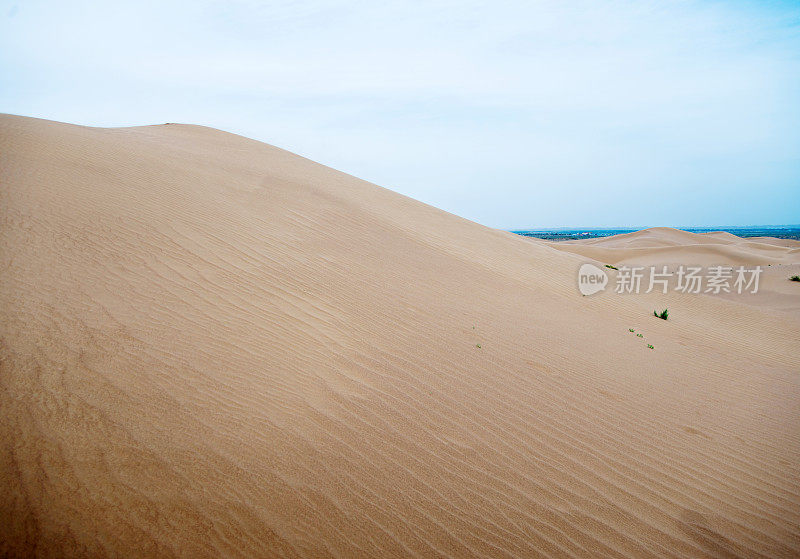 以海浪为背景