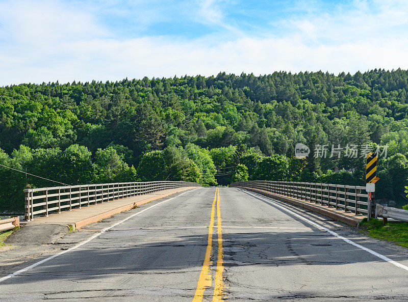 通往郁郁葱葱的绿色森林的双巷乡村道路