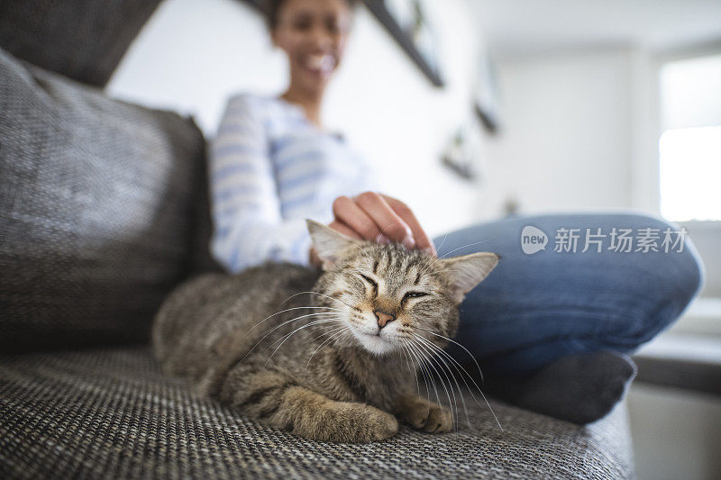 一位非裔美国妇女在客厅里抱着她的家猫