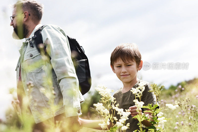 父亲和儿子在一起度暑假