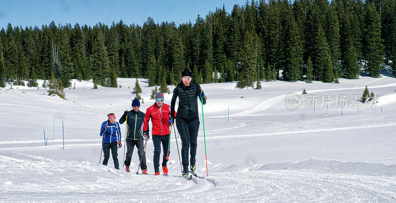 一组四个成年人越野滑雪在一个阳光明媚，冬日在科罗拉多州的山区
