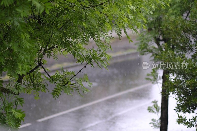 在下雨的一天