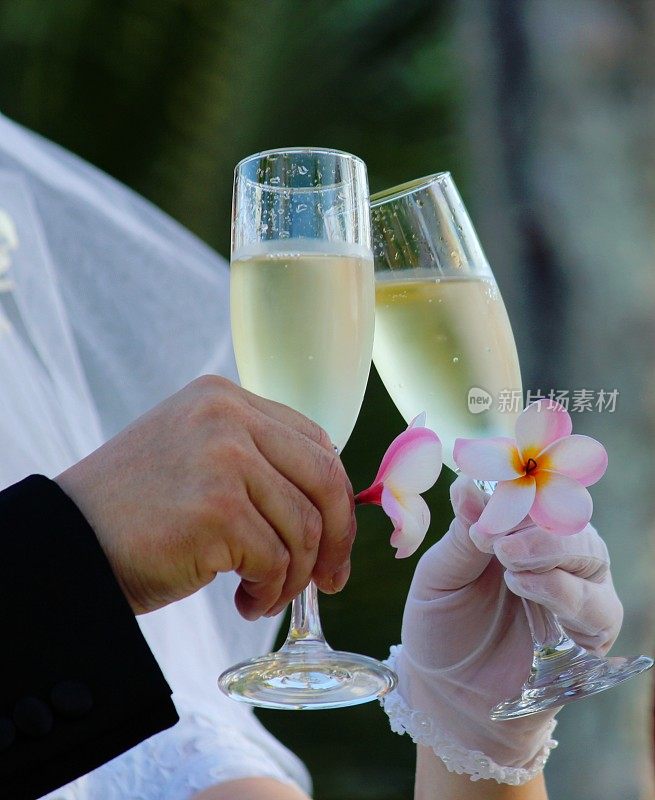 新娘和新郎举起酒杯，为他们的婚礼祝酒