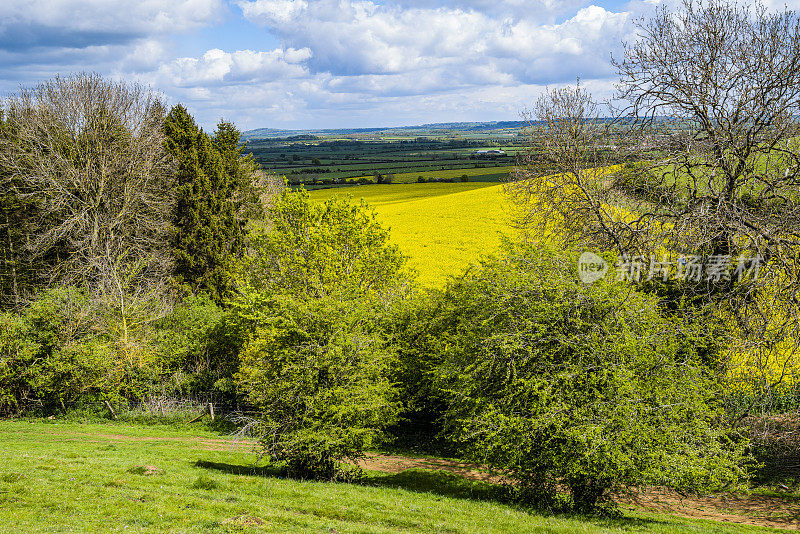 伯顿达塞特山俯瞰英国风景，英国中部的沃里克郡