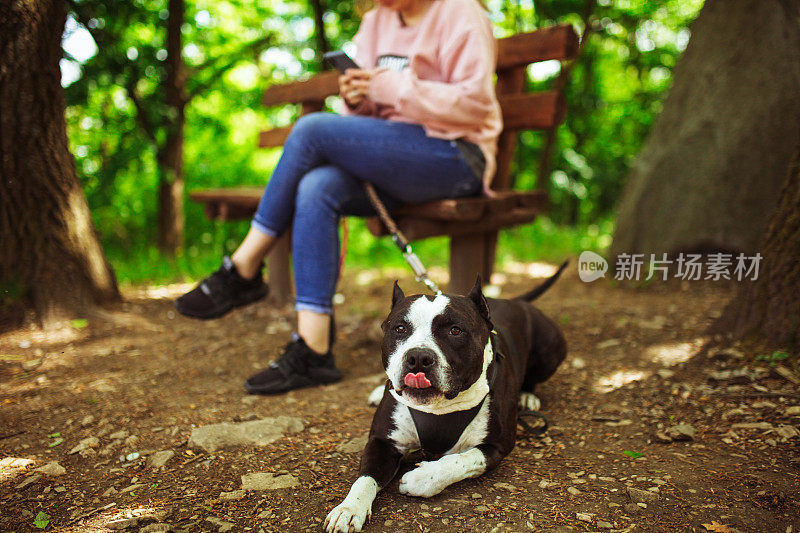 一个女人和她的狗在长椅上休息