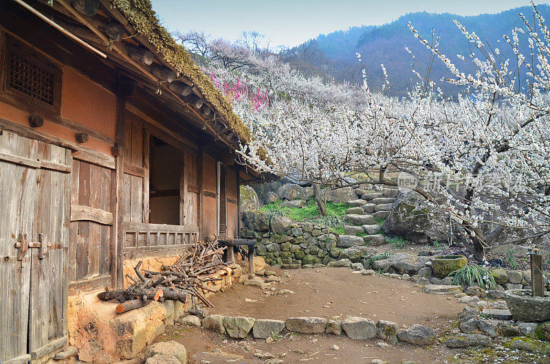 传统的韩国房子(韩屋)在光阳，韩国