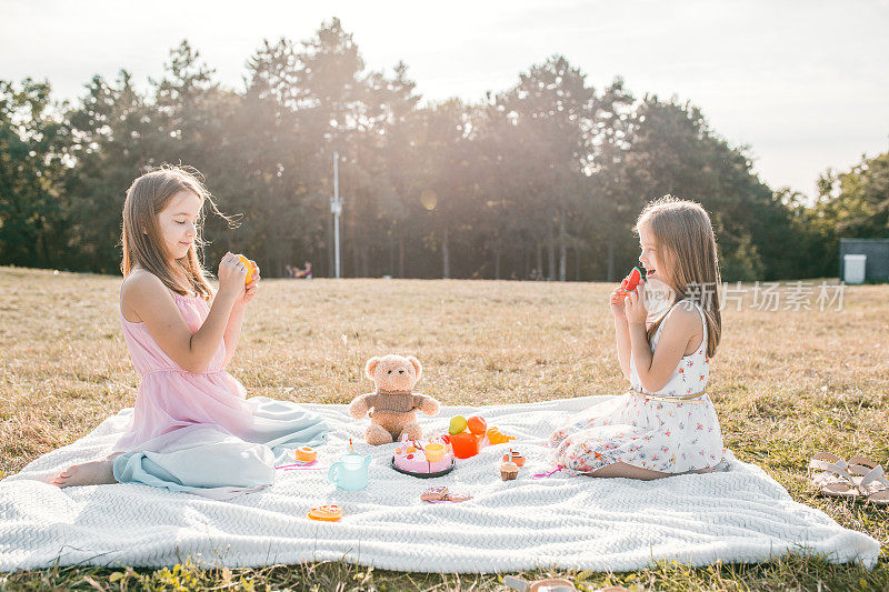 两姐妹和泰迪熊在公园野餐