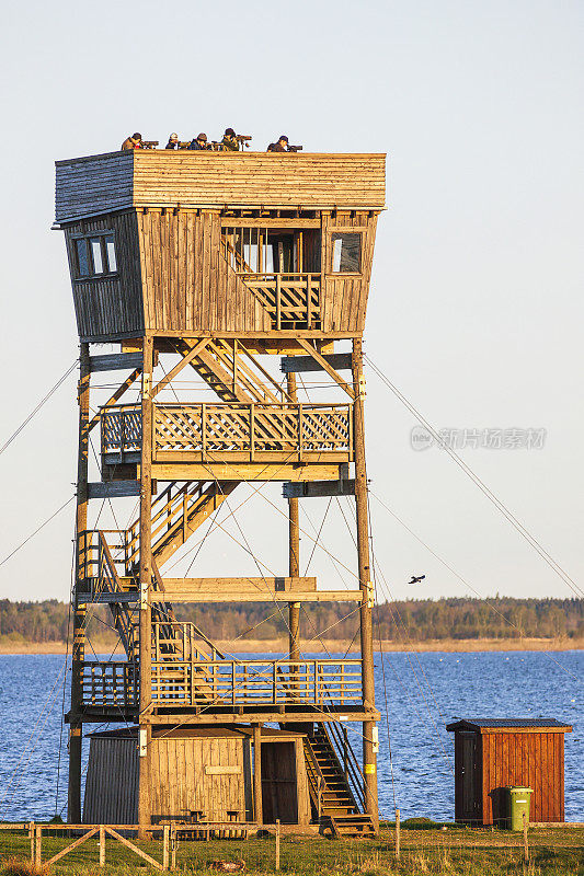 湖边塔上的观鸟者