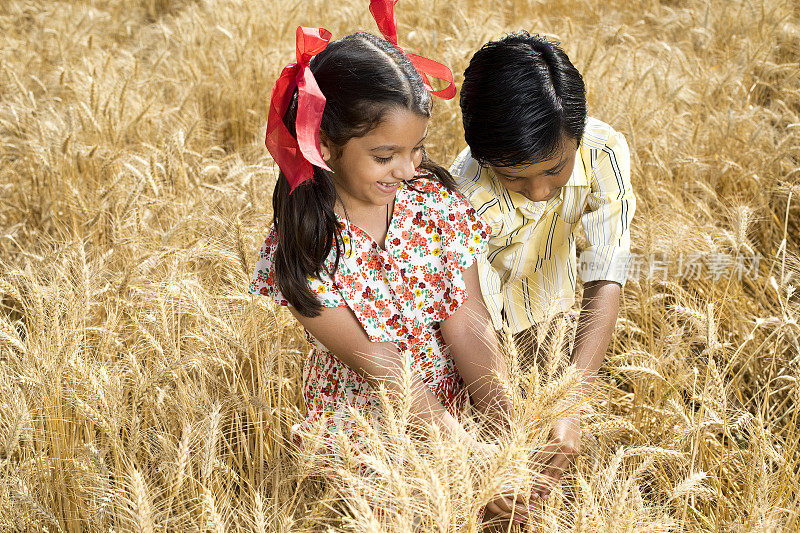 快乐的孩子们在农田里玩耍
