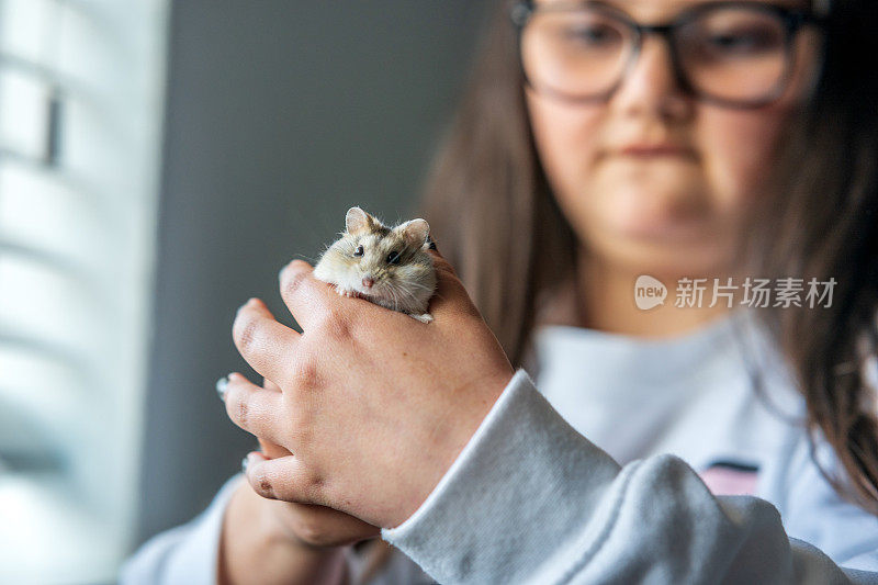 13岁的女孩抱着宠物仓鼠