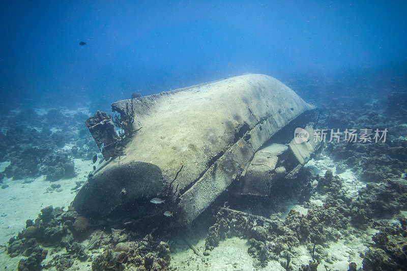 古巴海难，杂草丛生