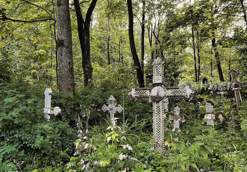 一个废弃的墓地。在树木之间，高大的草和金属和石头的古代坟墓十字架