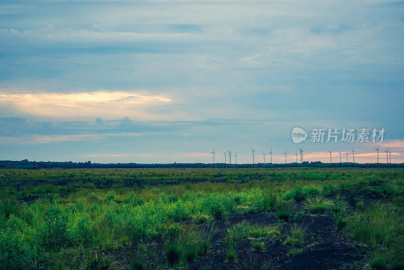 德国的荒野地区。