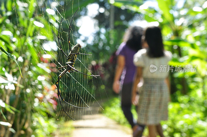 两个女孩正穿过蜘蛛的蜘蛛网
