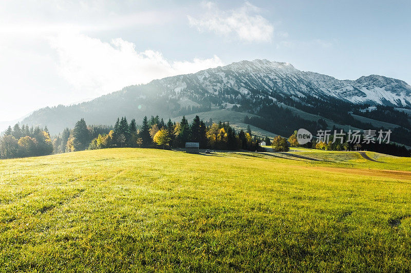 在Oberallgäu山上草原上明亮的晨光