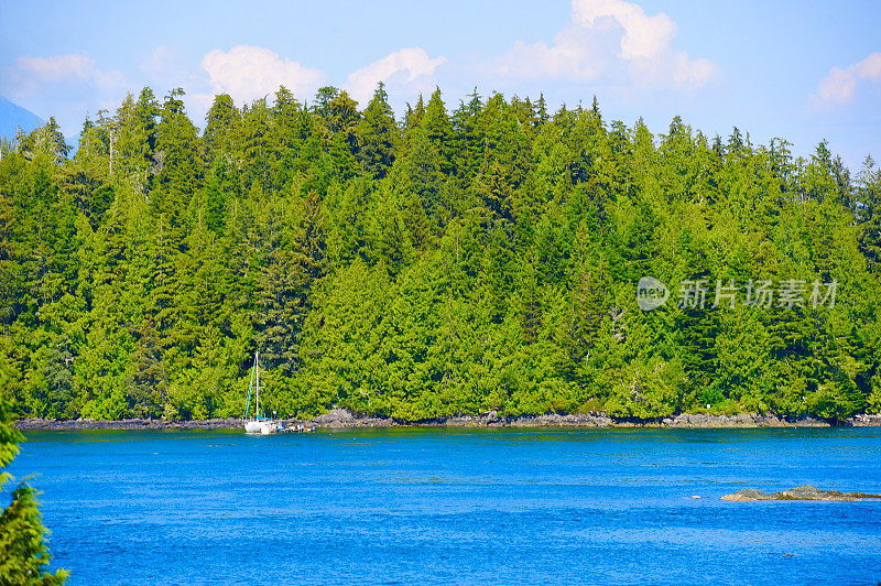 Tofino、加拿大