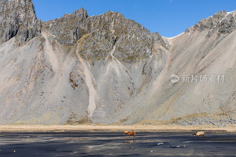 Stokksnes冰岛春天的Vestrahorn