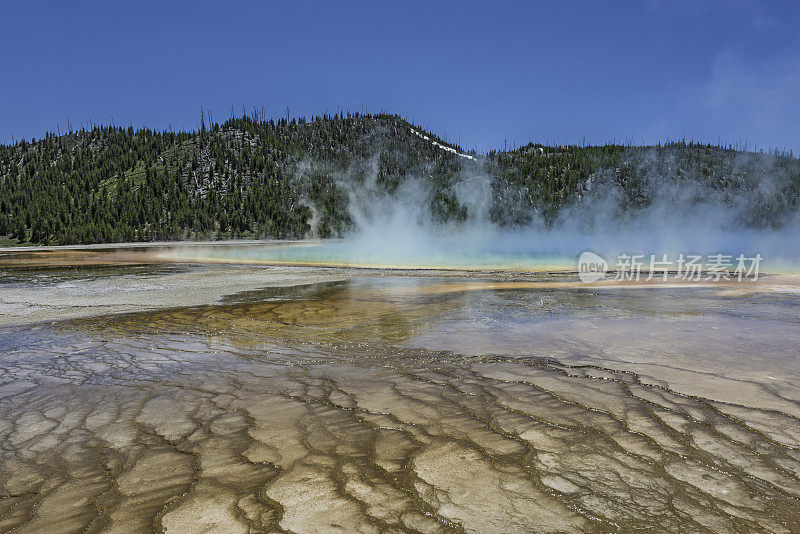 大棱镜泉，中途间歇泉盆地，黄石国家公园，怀俄明州。展示了温泉和水，五颜六色的细菌使梯田呈现出棕色。