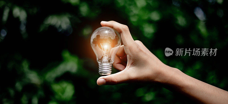 手握灯泡，自然能源，热爱世界的理念。