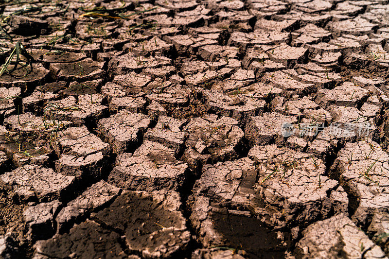 干旱的土地遭受干旱。荒漠化和干旱等气候变化的影响。全球变暖和温室效应的概念。水危机。