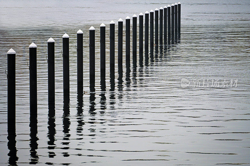 黑色的系泊桩或水中的海豚，季节结束时在波罗的海的一个空游艇港在灰色的11月的一天，几乎单色的图像，复制空间