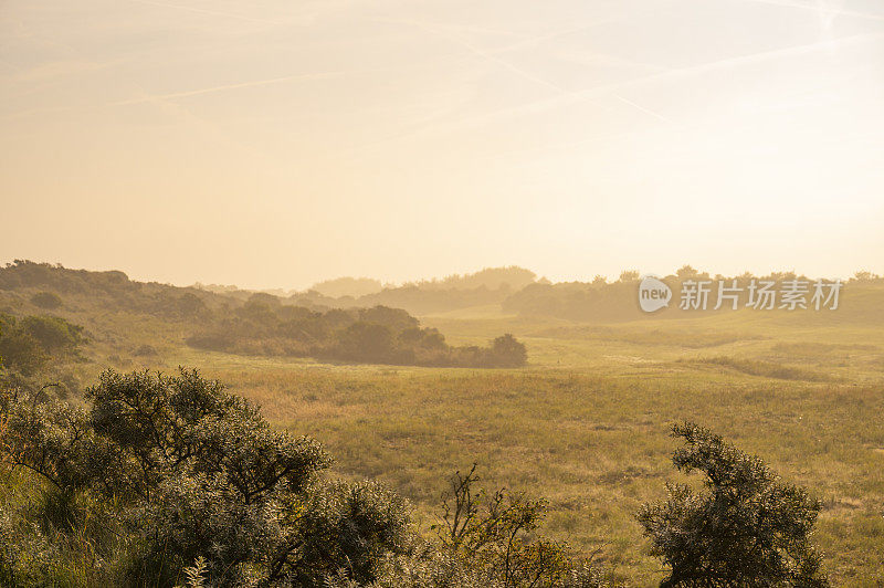 在一个阳光明媚的夏日早晨，沙丘上有雾的日出