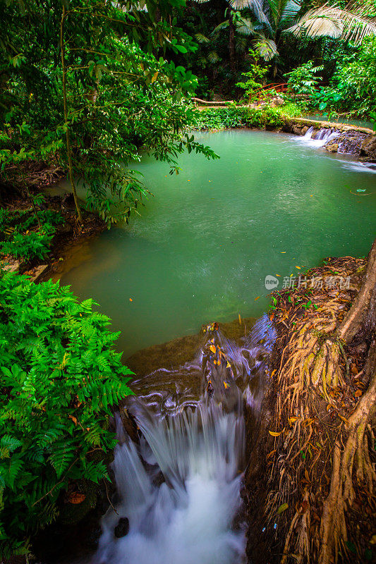 梯级河中绿树翠绿的热带雨林水