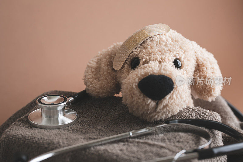 犬类疾病，宠物保险，动物医院形象