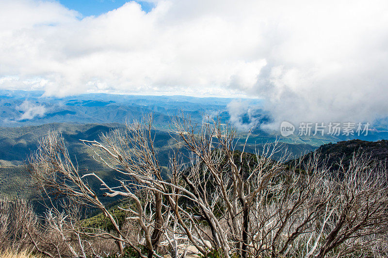 布法罗山国家公园，维多利亚。澳大利亚。从霍恩野餐区眺望澳大利亚阿尔卑斯山。山清水秀，云淡风轻