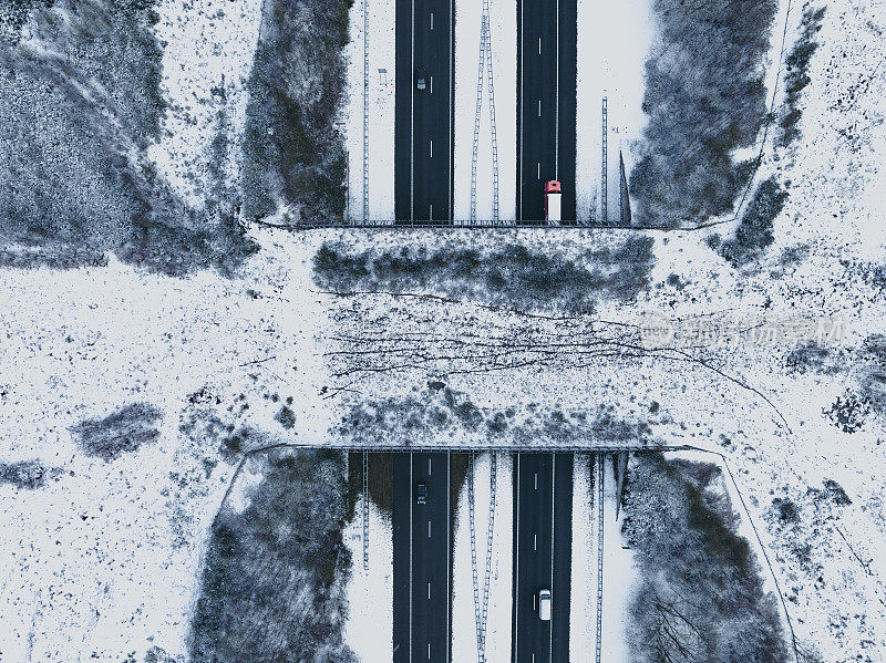 从上面看，野生动物从高速公路上穿过白雪皑皑的森林