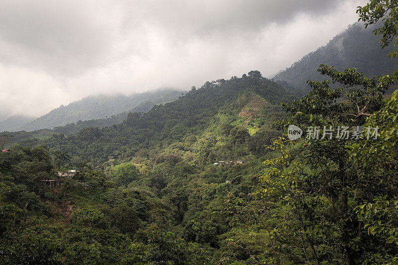 郁郁葱葱的风景