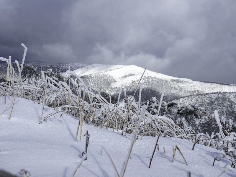 雪山